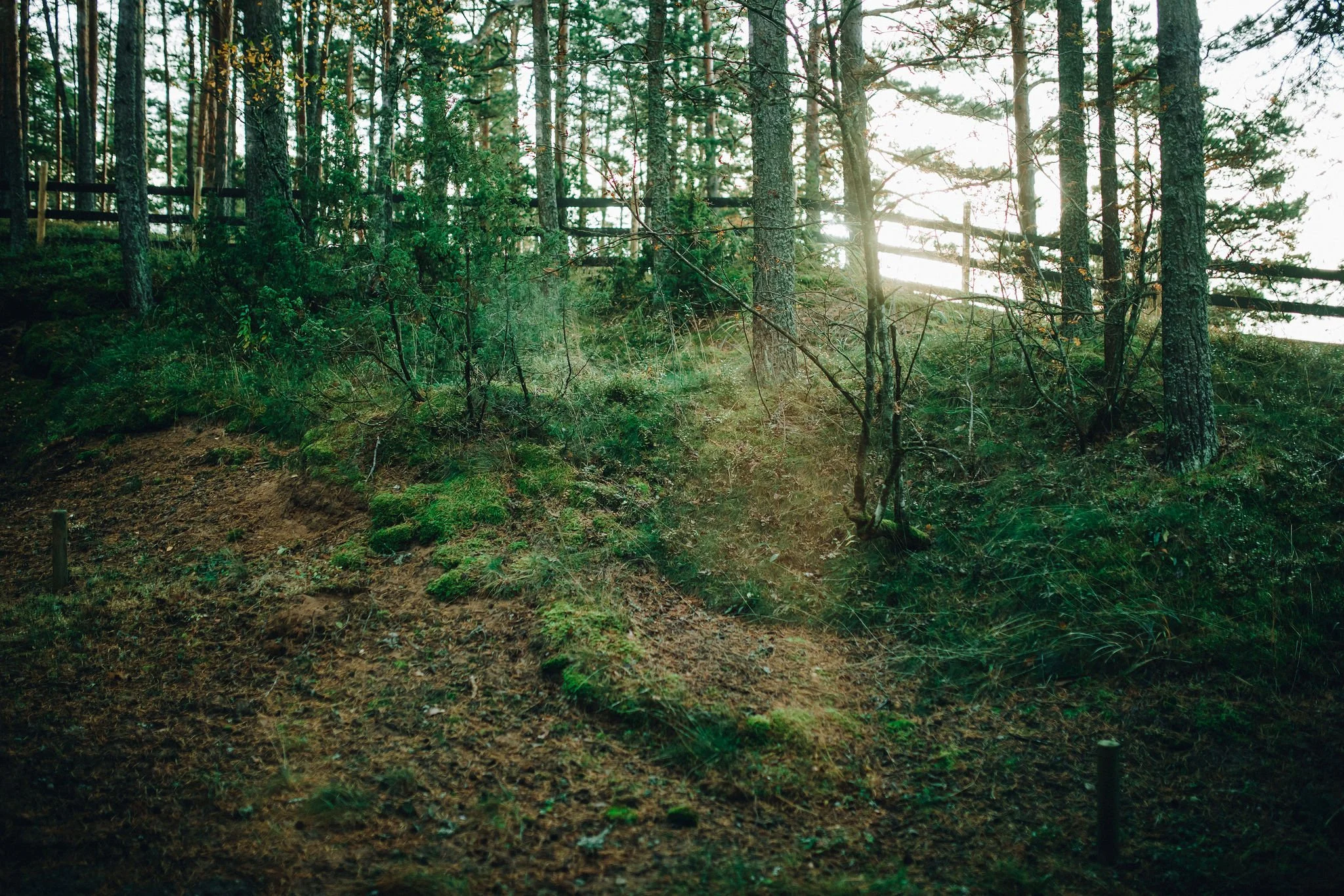 0E3A5864.jpg