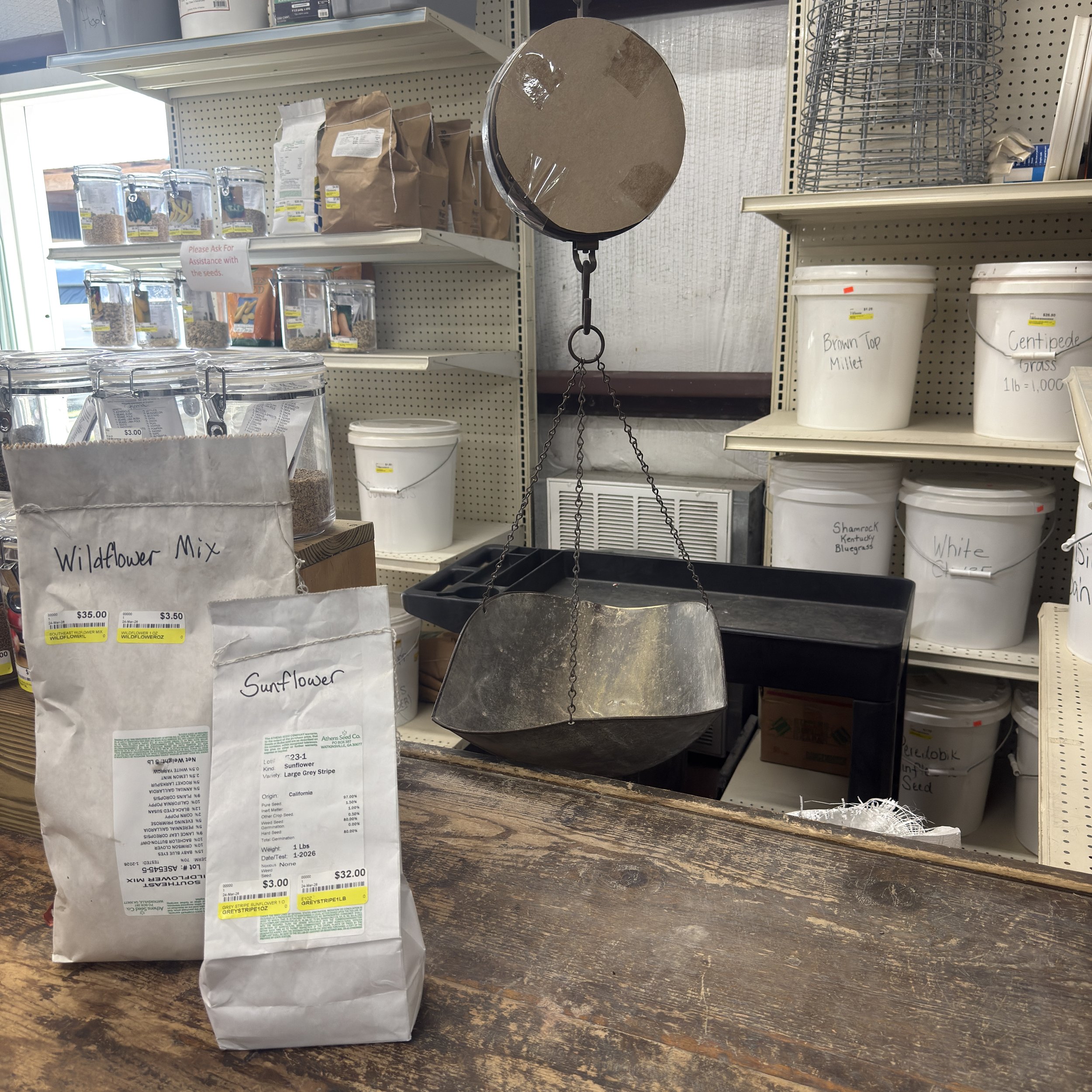 A digital scale hanging in a store, with bags of sunflower and wildflower seed mixes on a wooden counter in front. shelves with jars, buckets, and cans of seeds and grains are in the background.