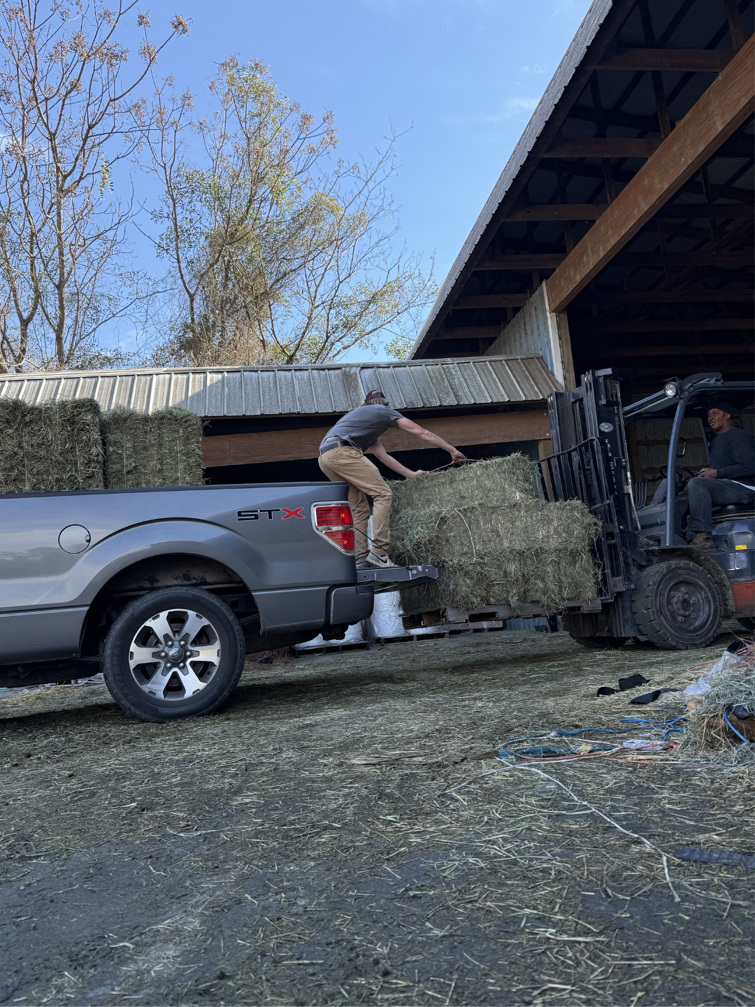 People loading hay bales onto a truck at a farm.