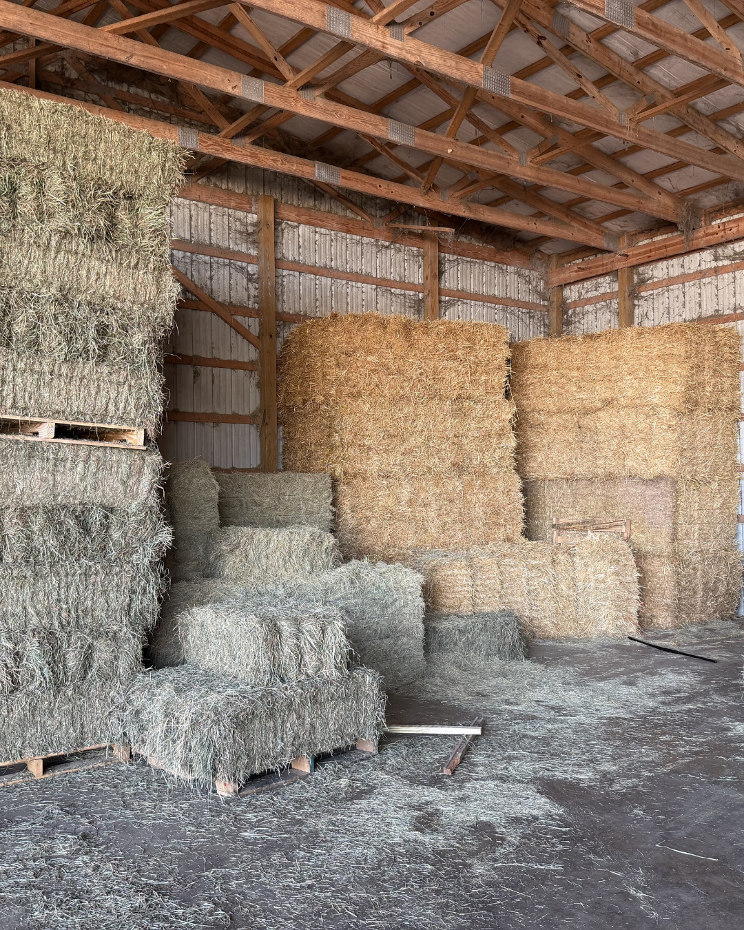 Bales of hay and straw stacked inside a wooden barn with exposed beams.