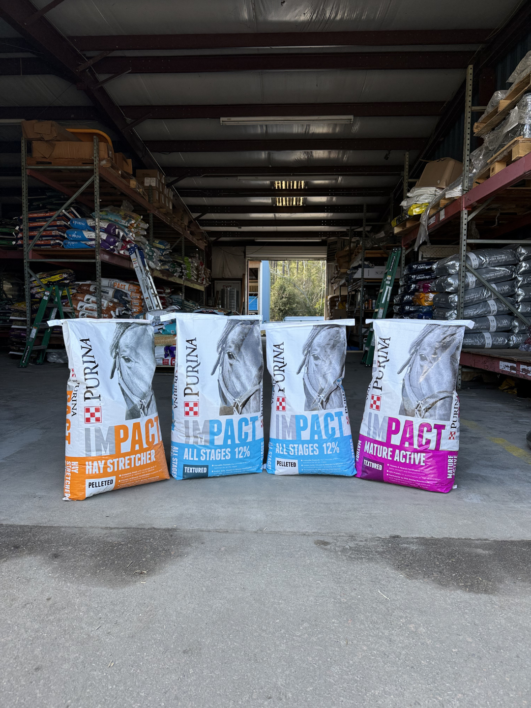 Four large bags of animal feed labeled Impact, arranged on a concrete floor in front of a storage warehouse. Each bag has a different label: Hay Stretcher, All Stages, Pelleted, and Mature Active.