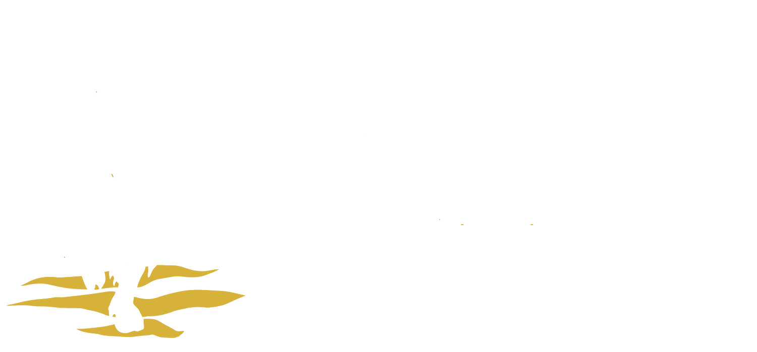 Yellowbanks Political Action Committee LLC