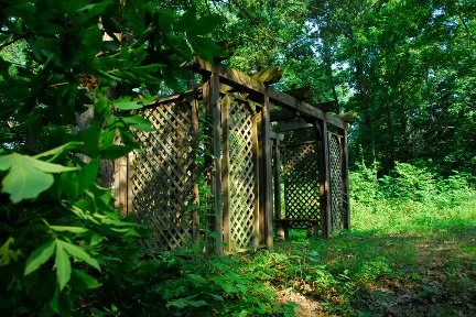 Wooden structure with lattice panels in a wooded area surrounded by green trees and foliage.