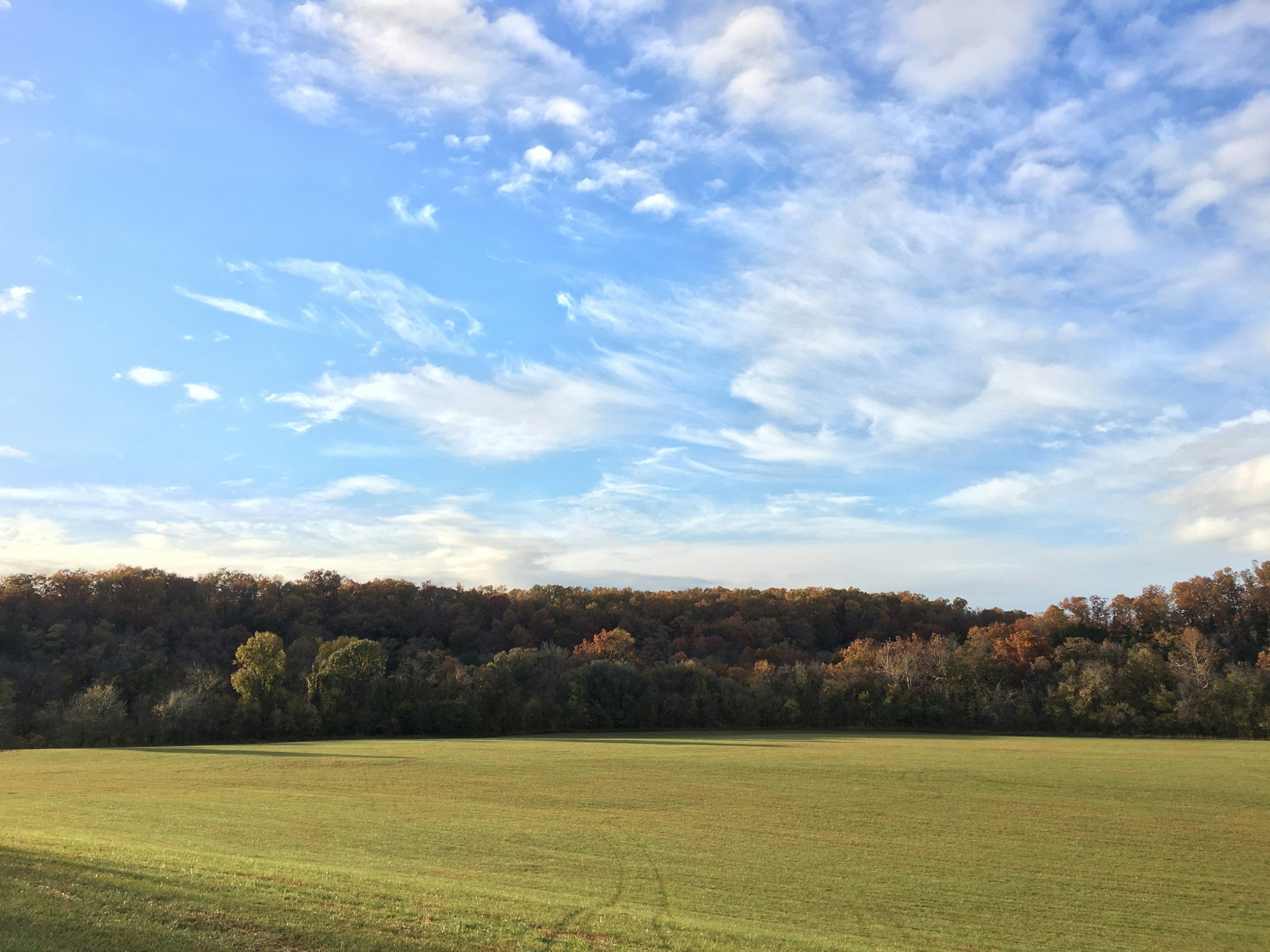 A landscape with a grassy field, a line of trees with fall foliage, and a blue sky with scattered clouds.