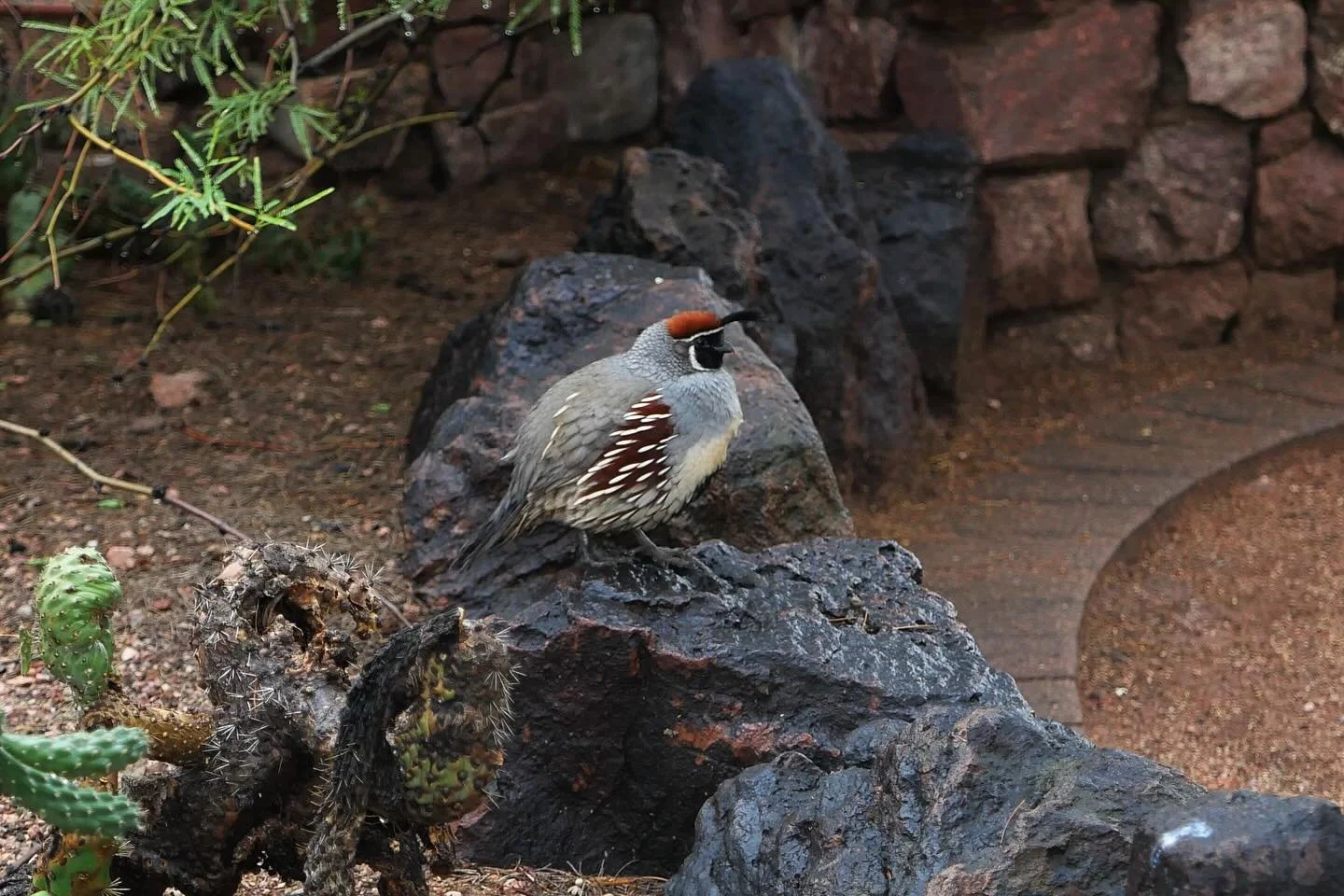 all the best babies in phoneix 😮&zwj;💨🤩🤯