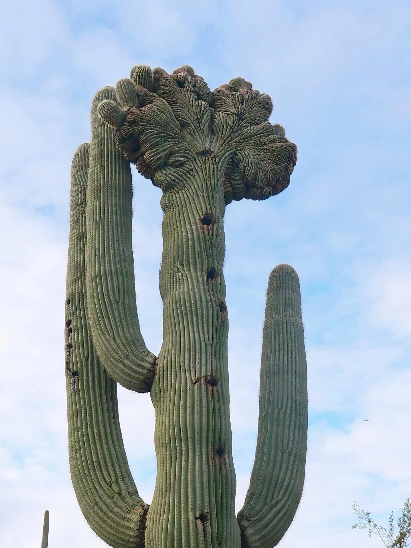 take the invitation 🙏🏽