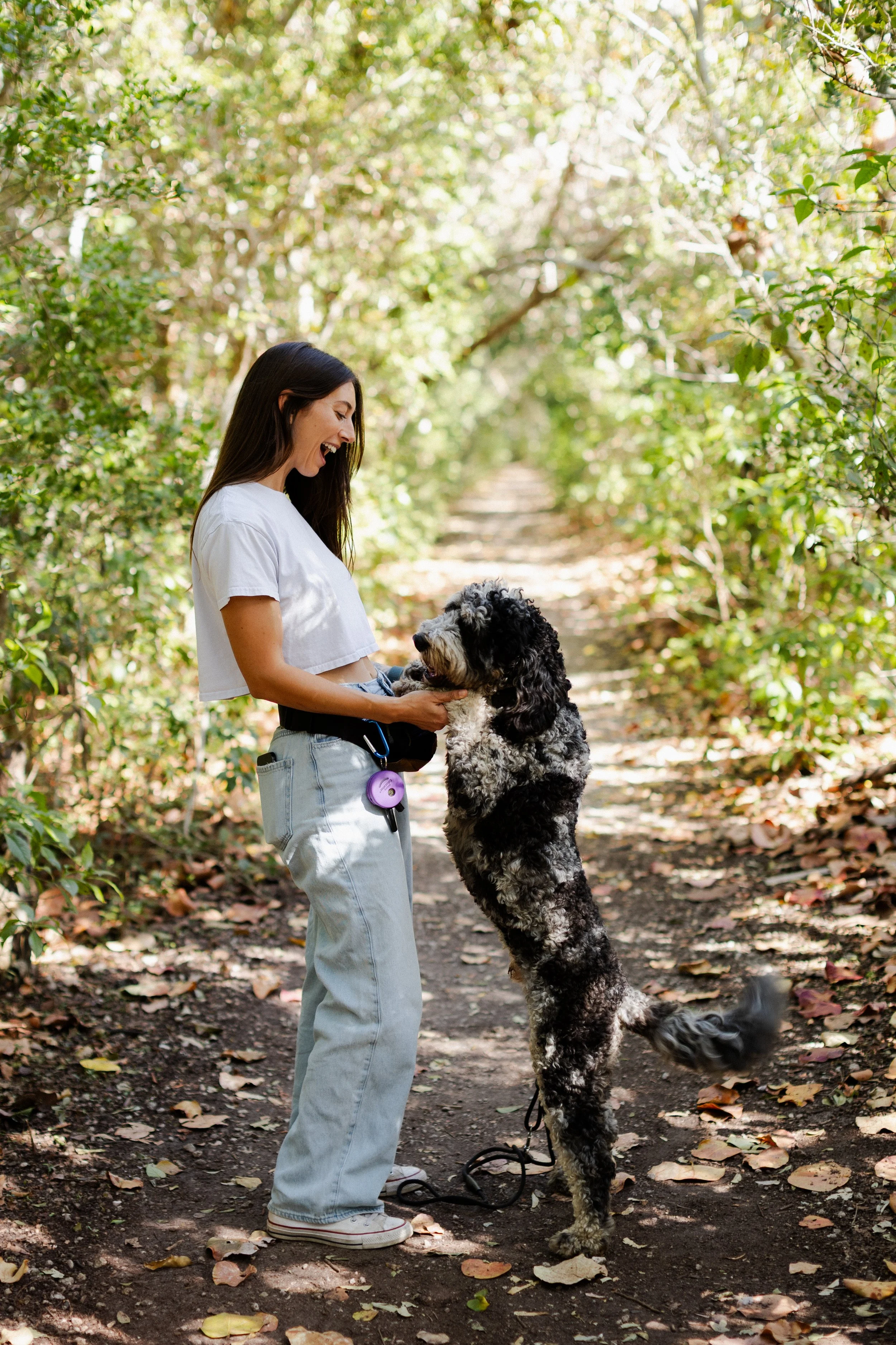 A woman in casual clothes playing with her dog on a forest trail.