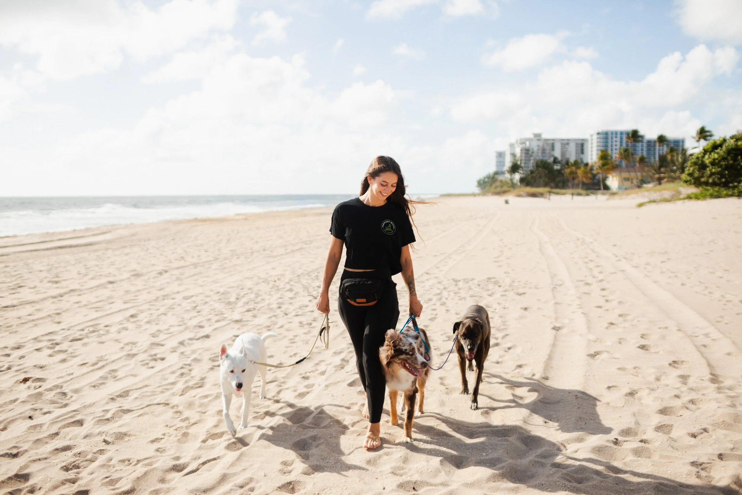 A young woman in a black shirt and black pants walking three dogs on a sandy beach with buildings and palm trees in the background.