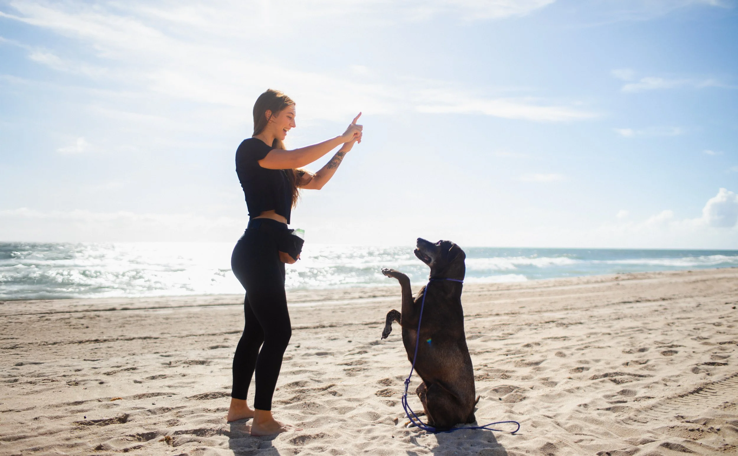 A woman with long hair, wearing a black crop top and black leggings, interacts with a large black dog on a sandy beach during the day, with the ocean and sky in the background.