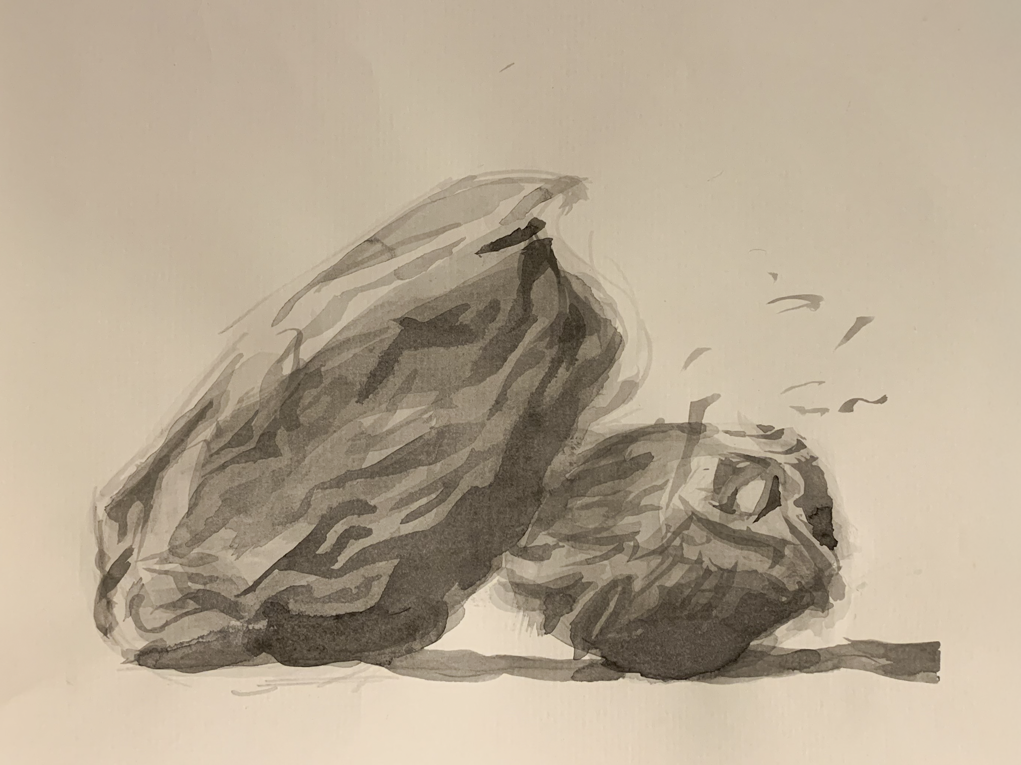 Study of Form II