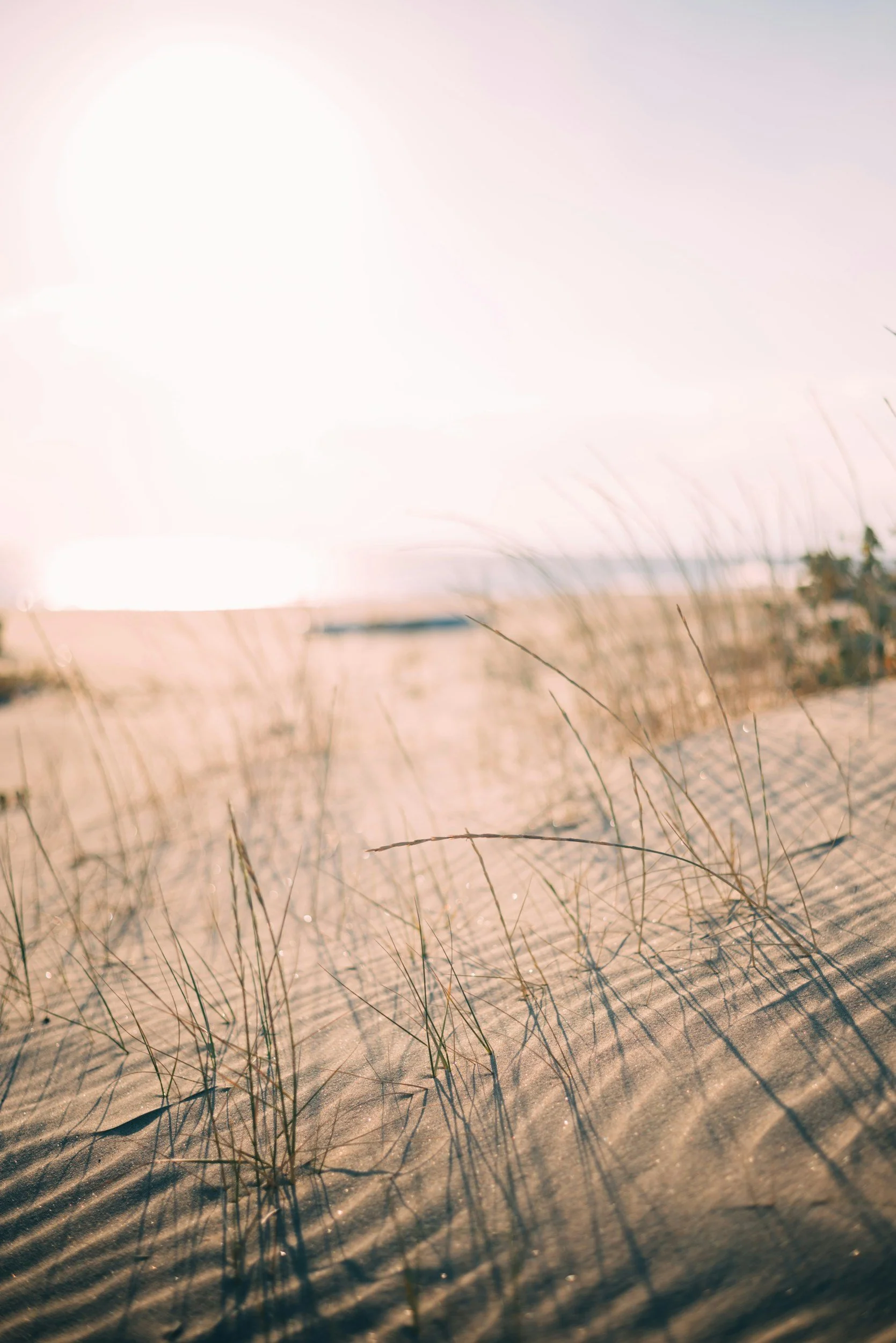 Sandy beach with tall grass and the bright sun shining, possibly at sunrise or sunset, over the water in the distance.