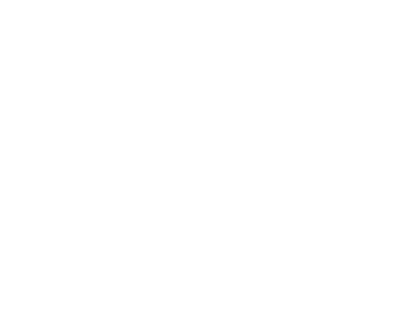 The Vlogi