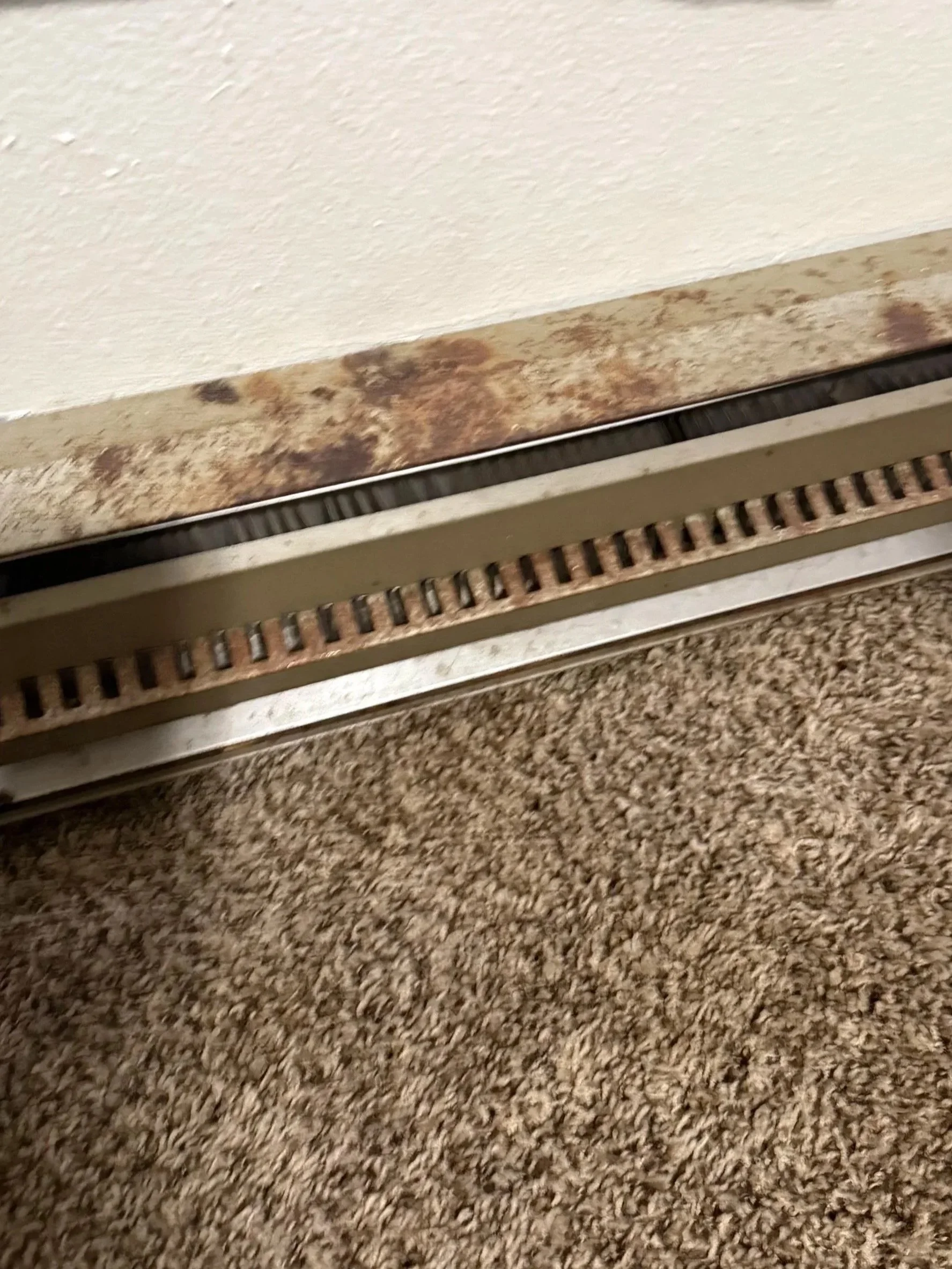 Close-up of a baseboard heater with rust and dirt on its surface, next to a beige carpet.