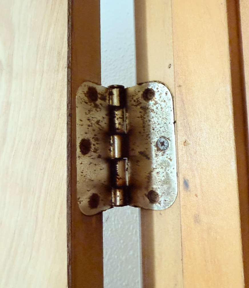 Signs of Moisture Issues - Rusty Hinges