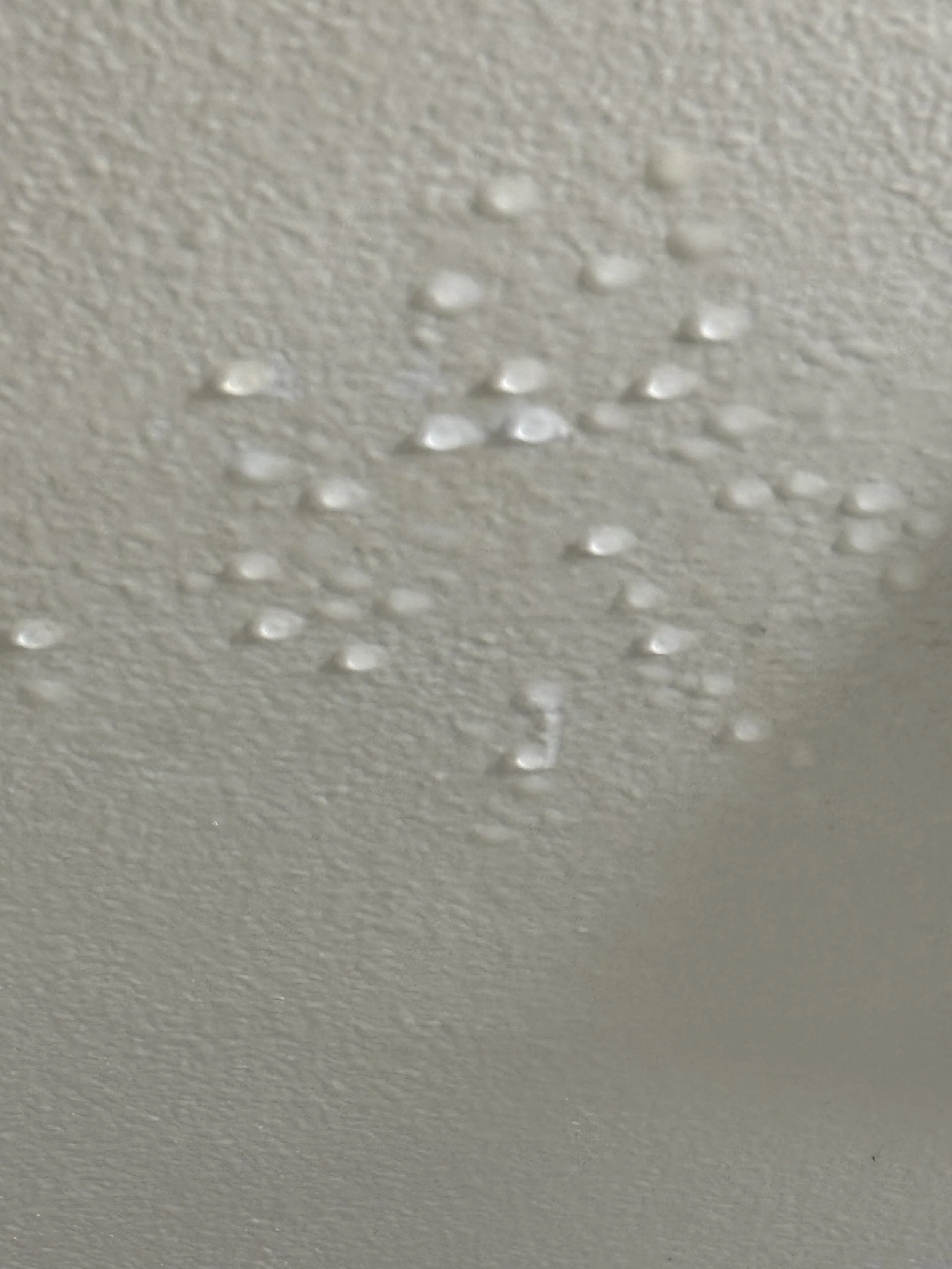Close-up of water droplets on a textured ceiling.