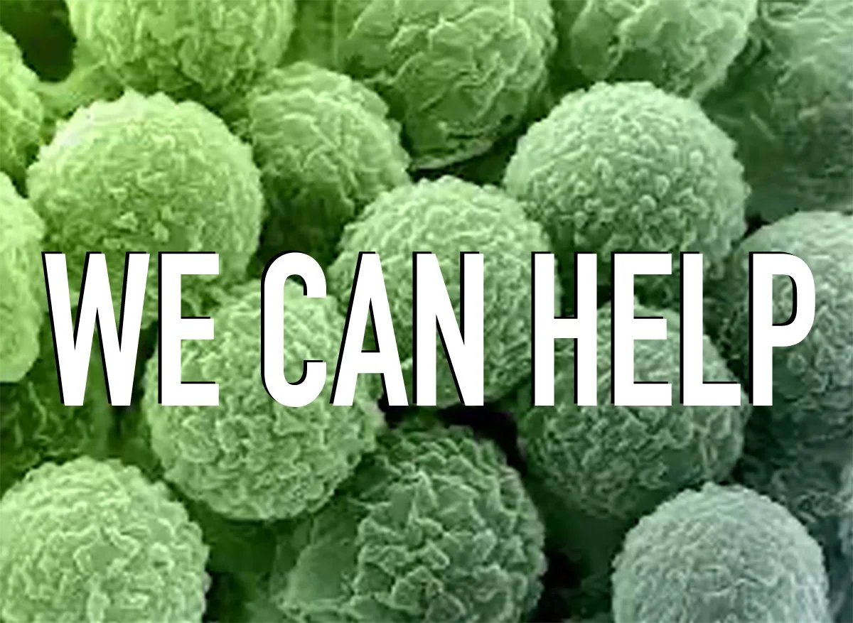 Close-up image of green pollen grains or spores with the text 'WE CAN HELP' overlayed.