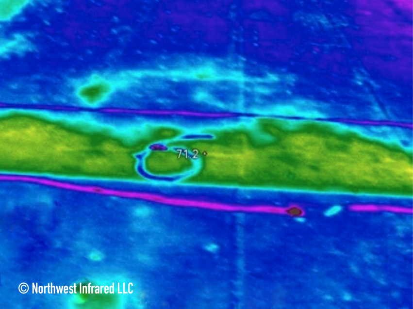 Thermal image showing a small animal, possibly a dog, with temperature reading of 71.2°F, lying on a surface with various colors indicating different temperatures.