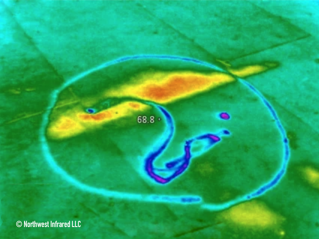 Infrared thermographic image of a skateboard with temperature readout of 68.8°F, showing heat distribution.