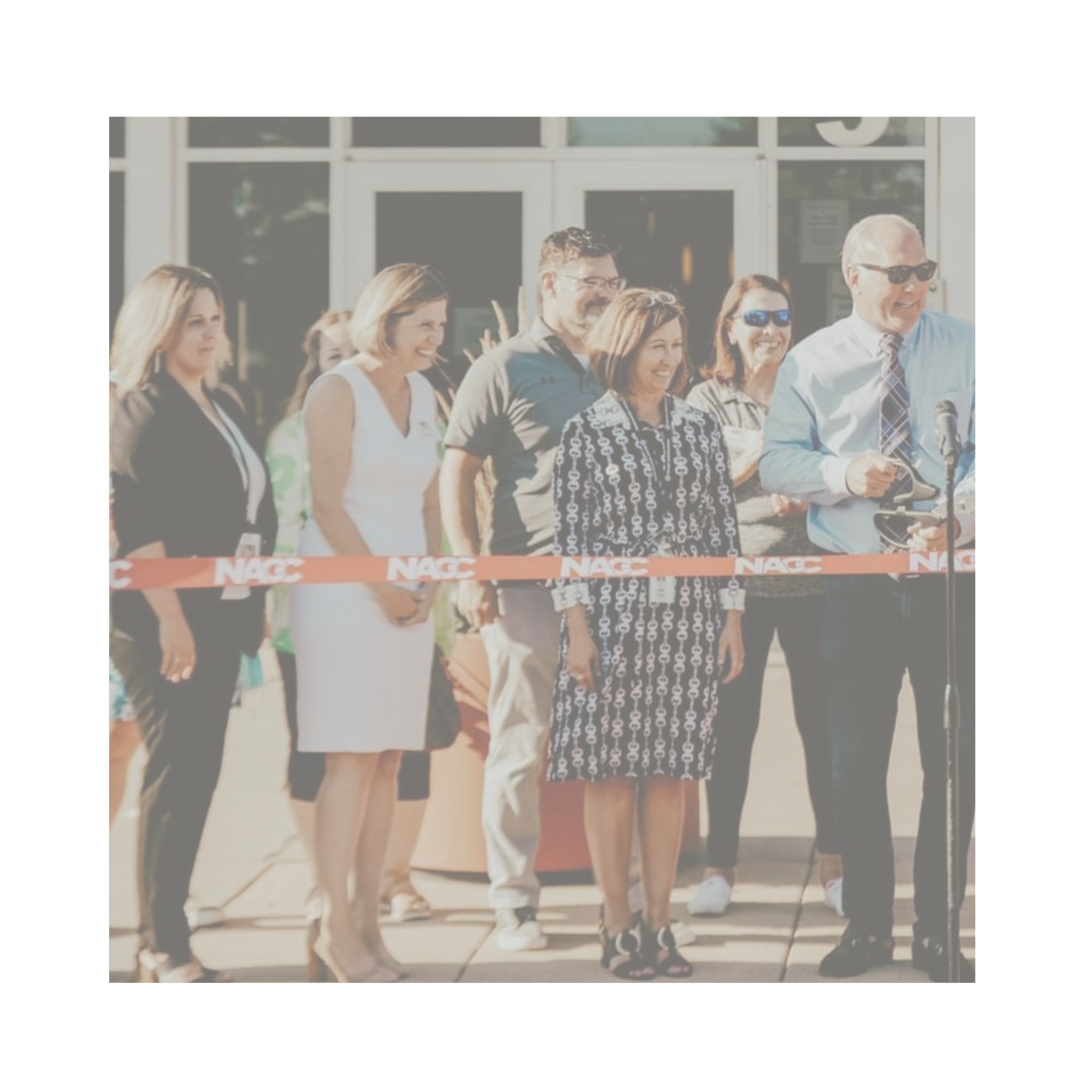 NAPERVILLE AREA CHAMBER OF COMMERCE
