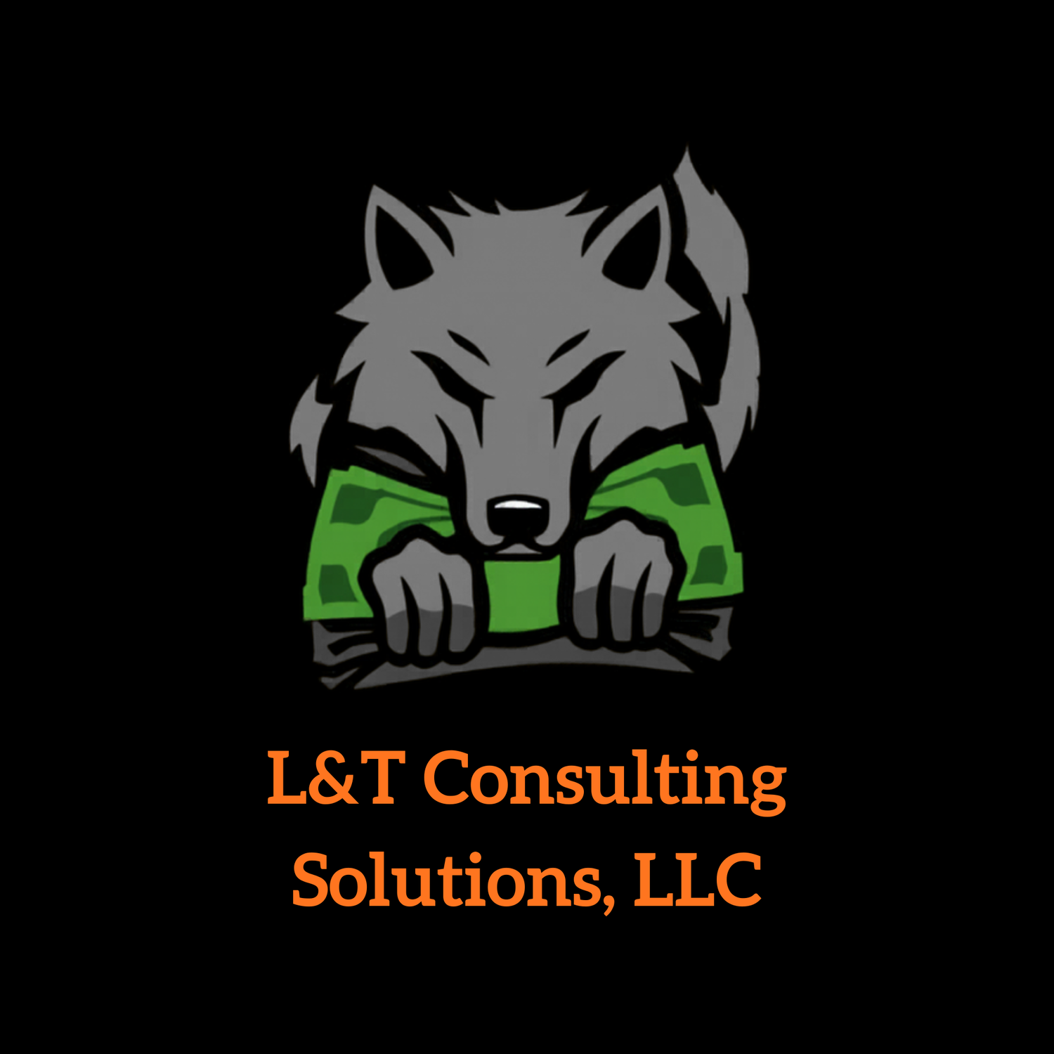 L&amp;T Consulting Solutions, LLC