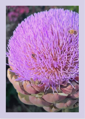 Screenshot 2026-03-26 7.46.49 PM.png