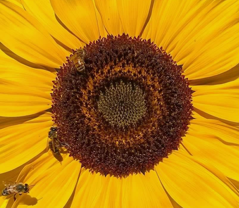 Screenshot 2026-03-26 4.46.39 PM.png