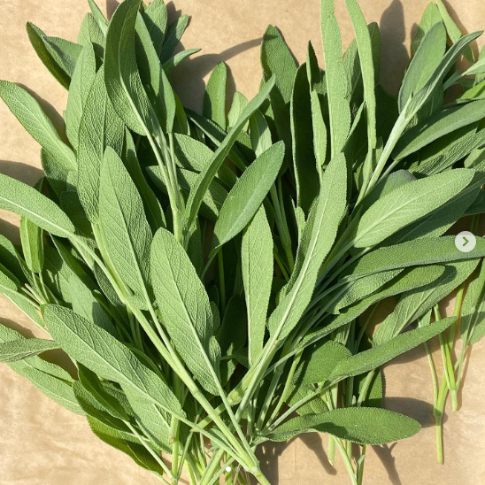 Fresh Sage Bundle