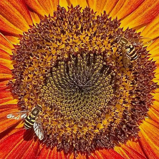 Screenshot 2026-03-26 4.44.40 PM.png