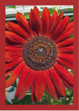 Screenshot 2026-03-26 7.44.16 PM.png