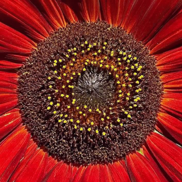 Screenshot 2026-03-26 4.40.09 PM.png