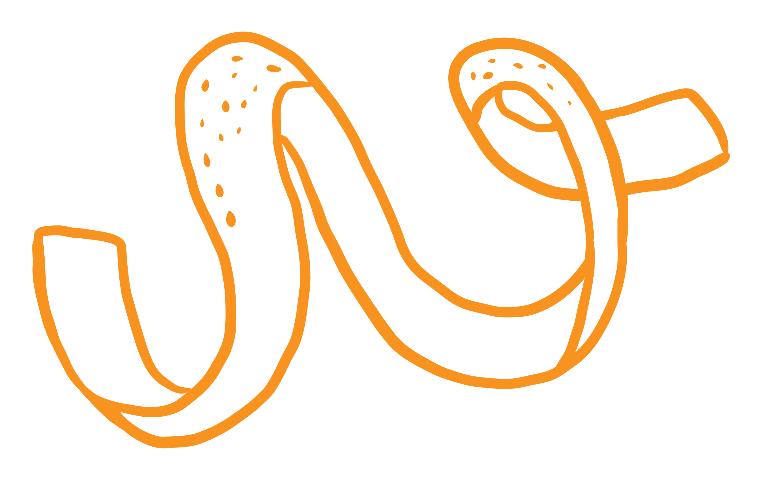 Illustration of an orange peel cocktail twist.