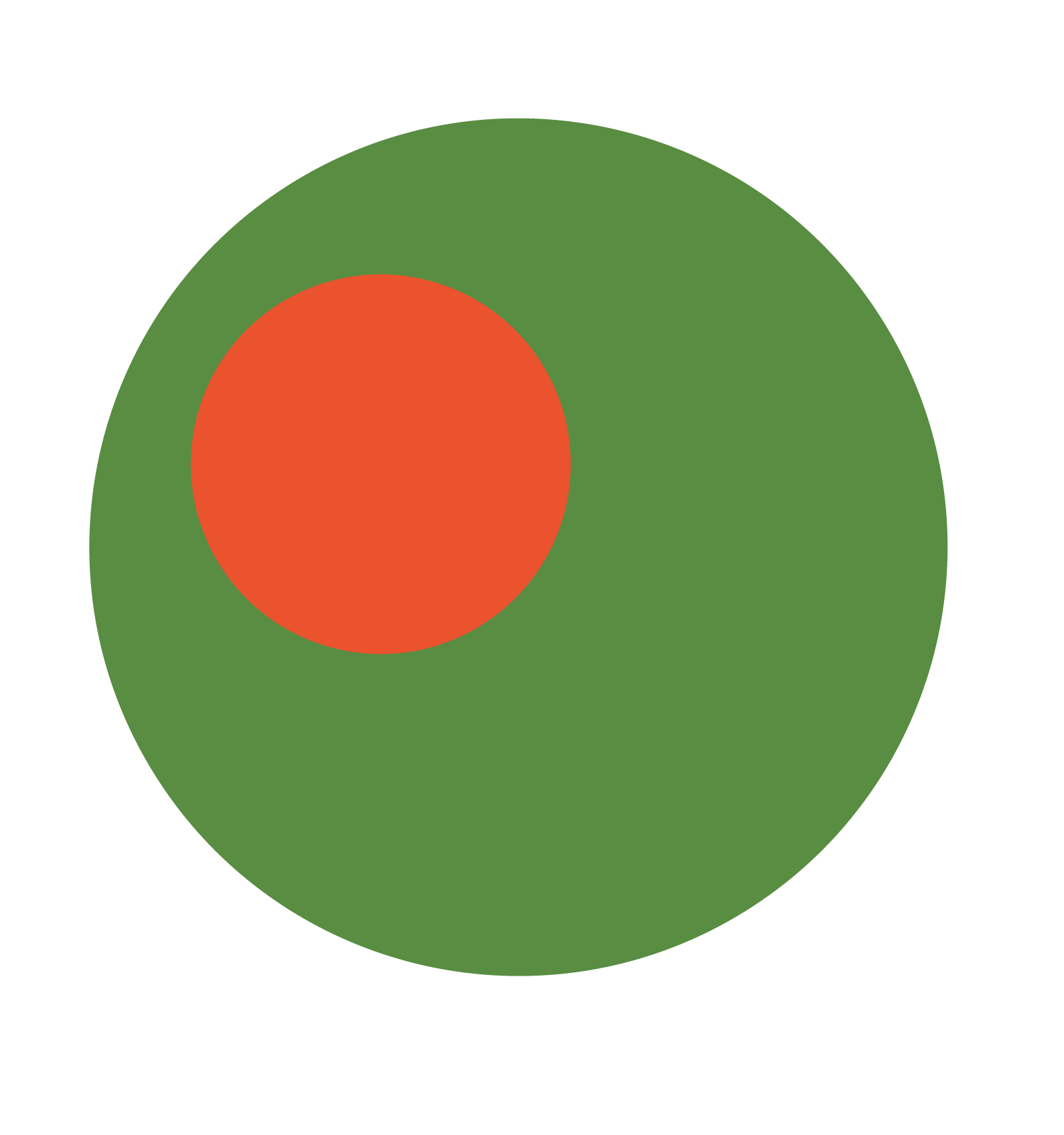 A concentric circle chart with a small orange circle inside a larger green circle.