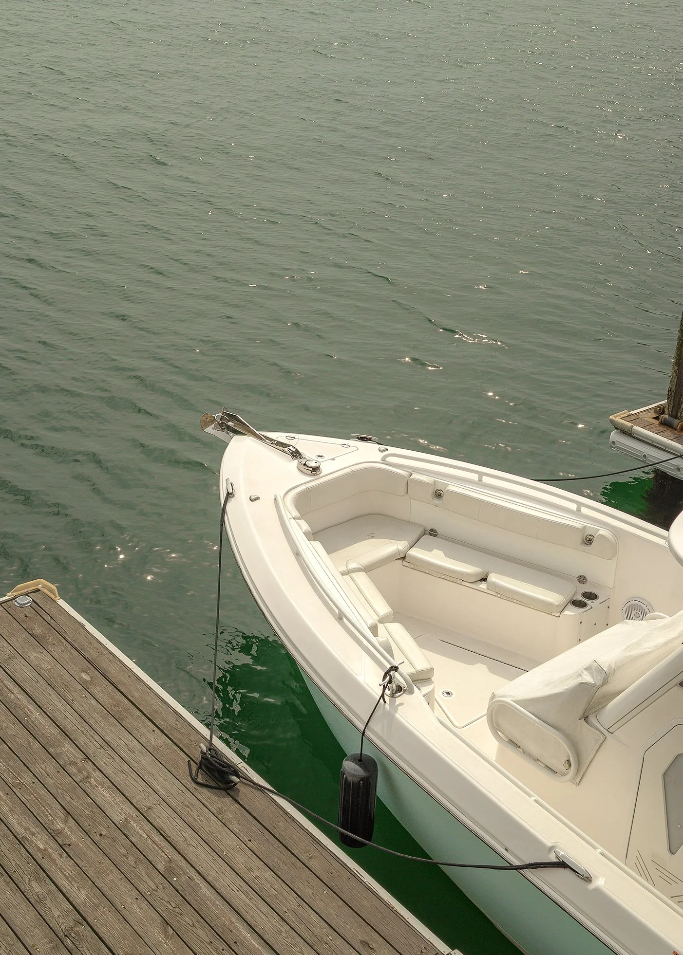 A white boat docked at a wooden pier on green water, with a black bumper and dock cleats visible.