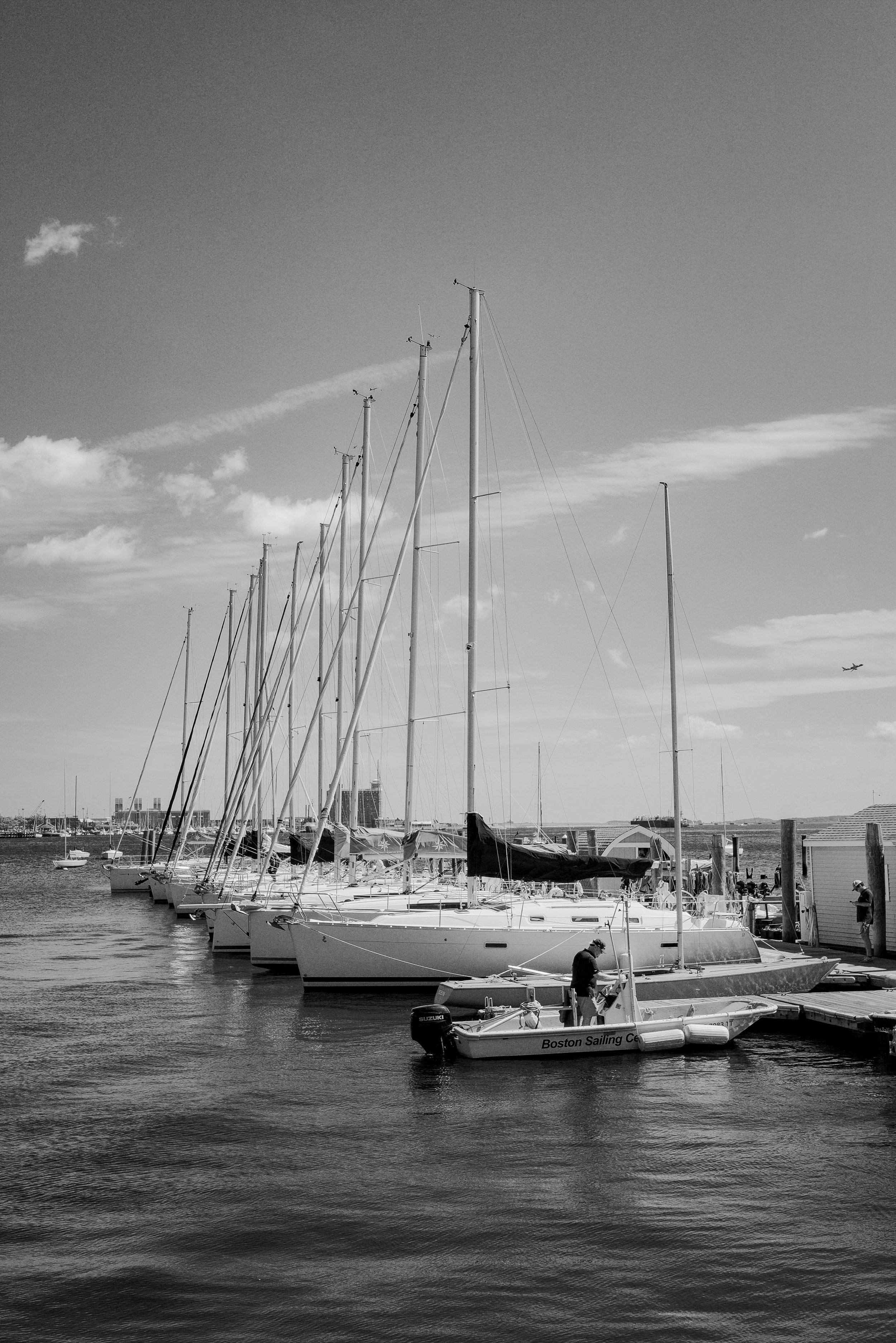 Black and white photo of several docked sailboats at a marina with a city skyline and a plane flying in the sky in the background.