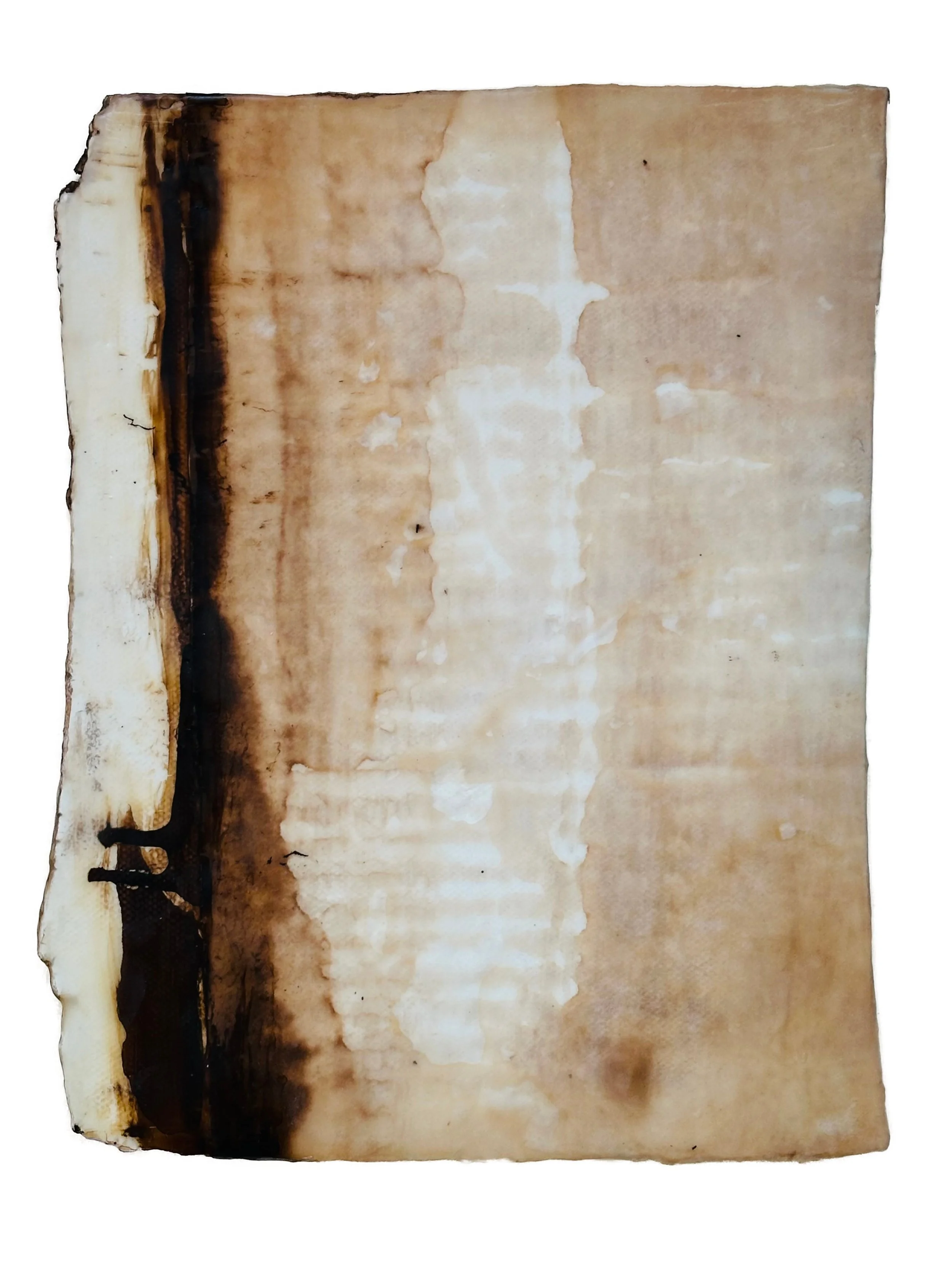 gradations_2_web.jpg