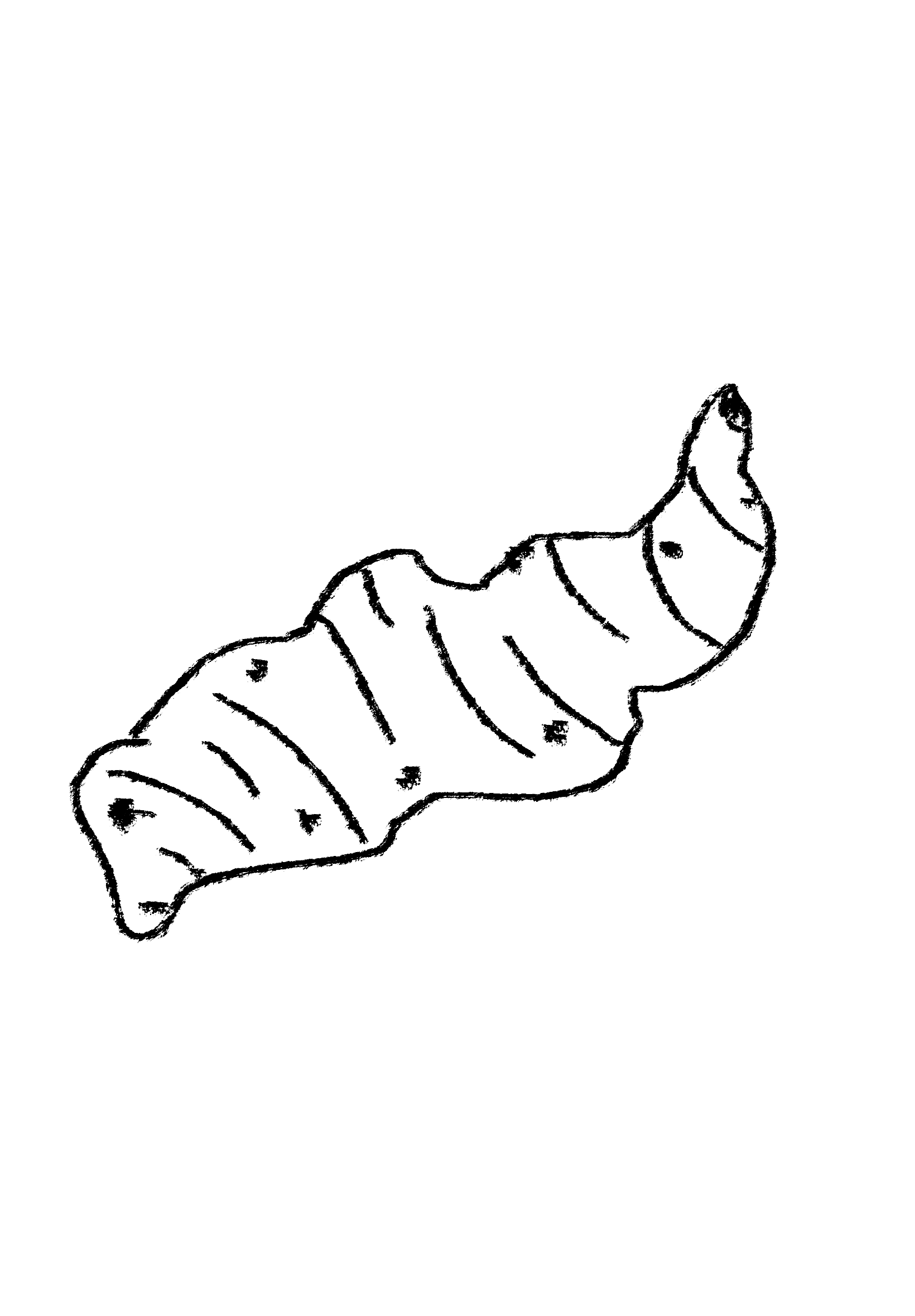 Galangal.png