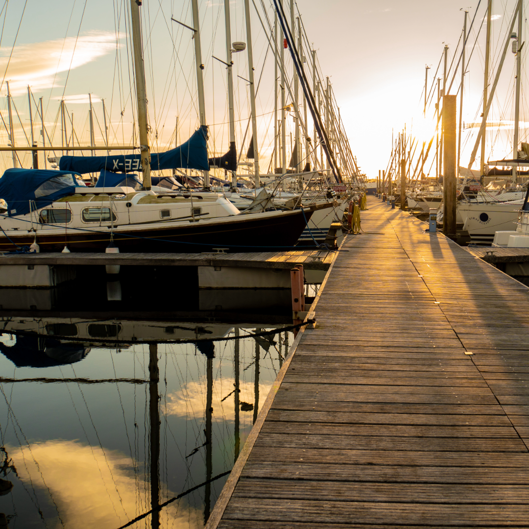 Earnings Lift All Boats in August