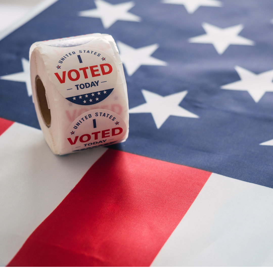 Election Volatility