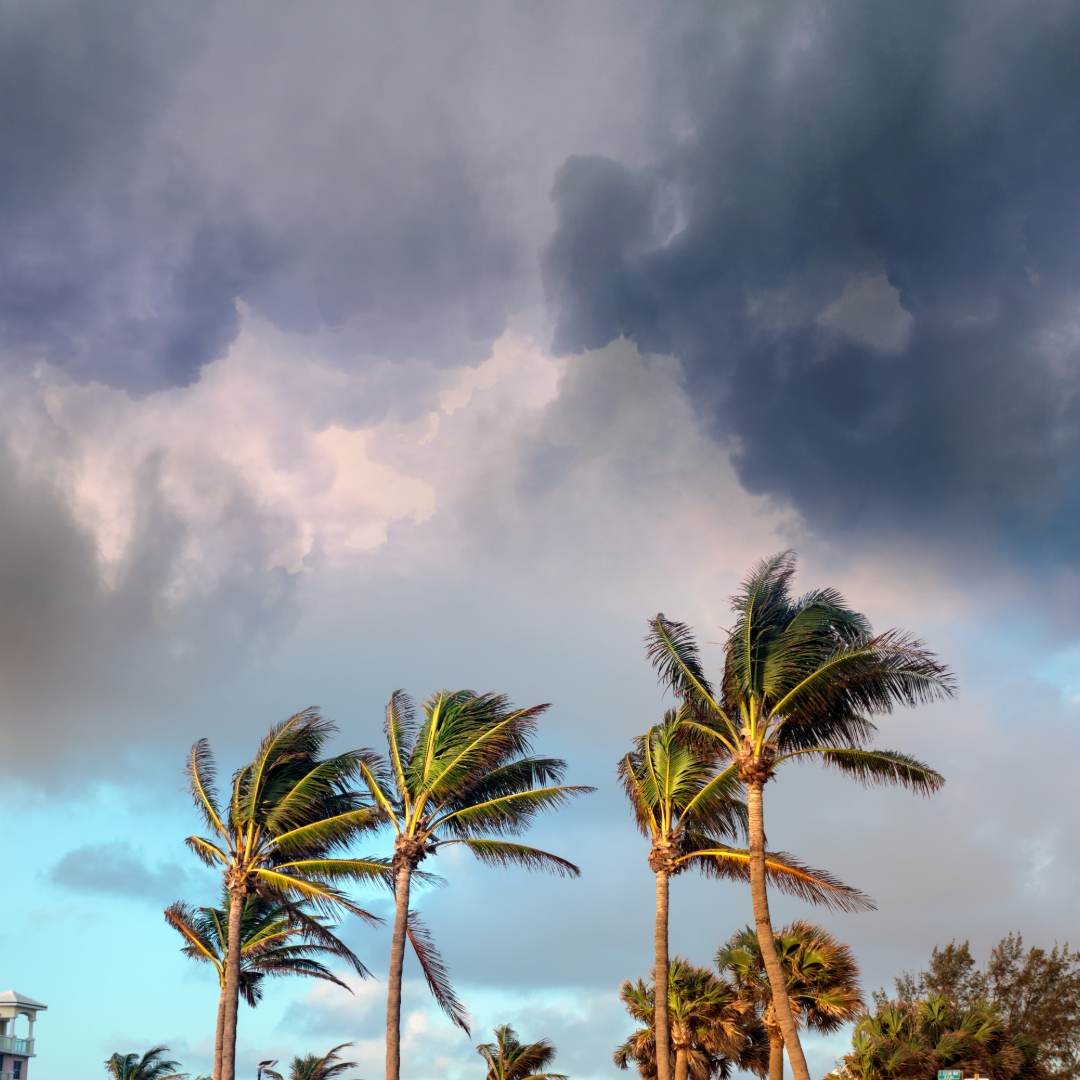       
  
    Week Ending March 7, 2026  


  


  


 
     
  
     

 
  *, *::before, *::after { box-sizing: border-box; }

  .sbc-wrap {
    font-family: 'Helvetica Neue', Helvetica, Arial, sans-serif;
    max-width:1200px;
    margin: 0 auto;
 