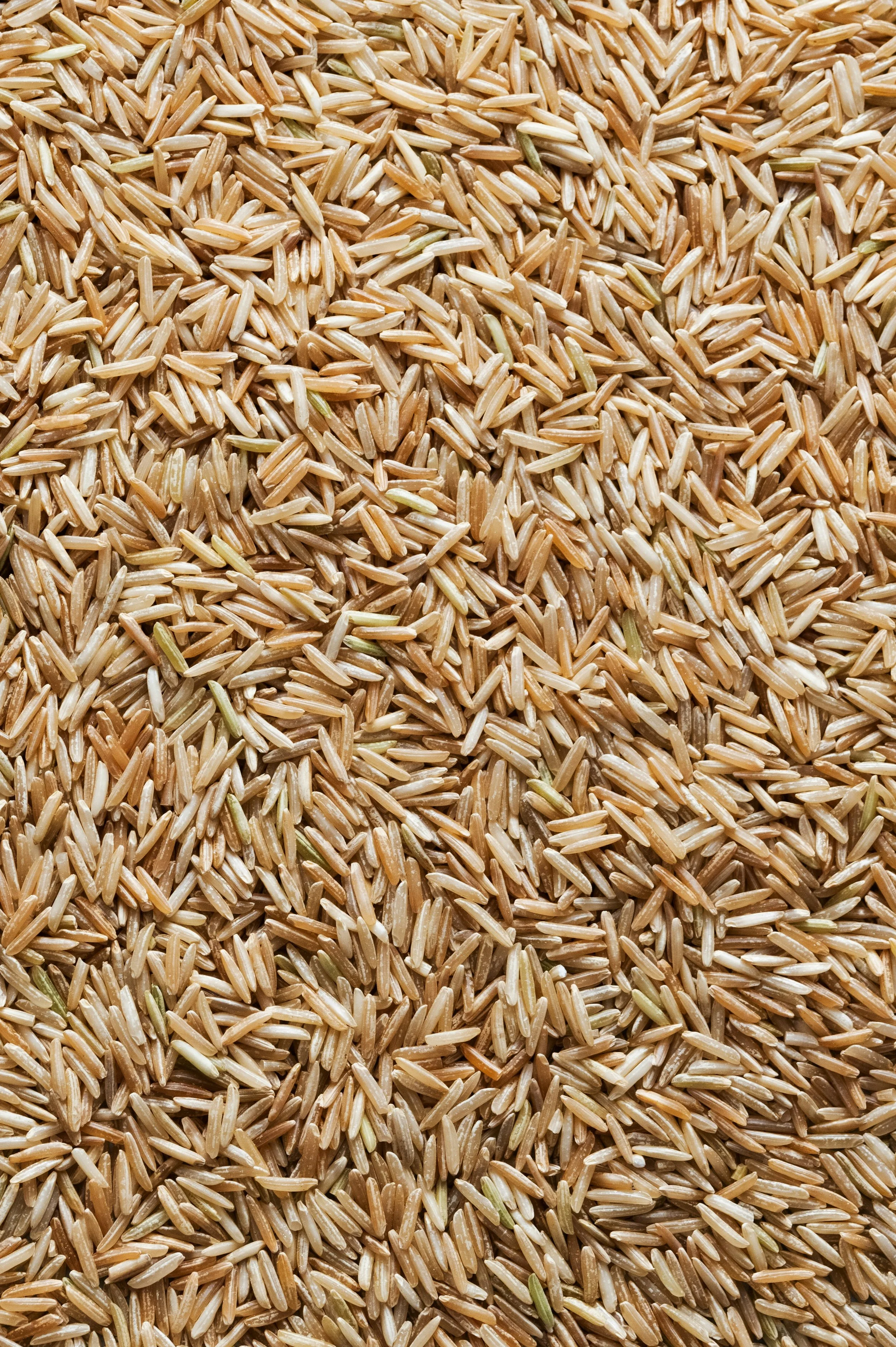 Close-up of uncooked brown rice grains.
