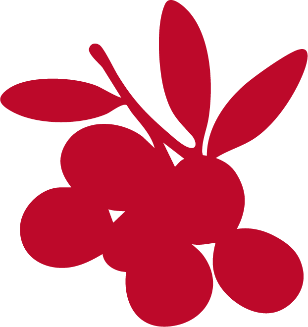 Silhouette of a cluster of grapes with leaves