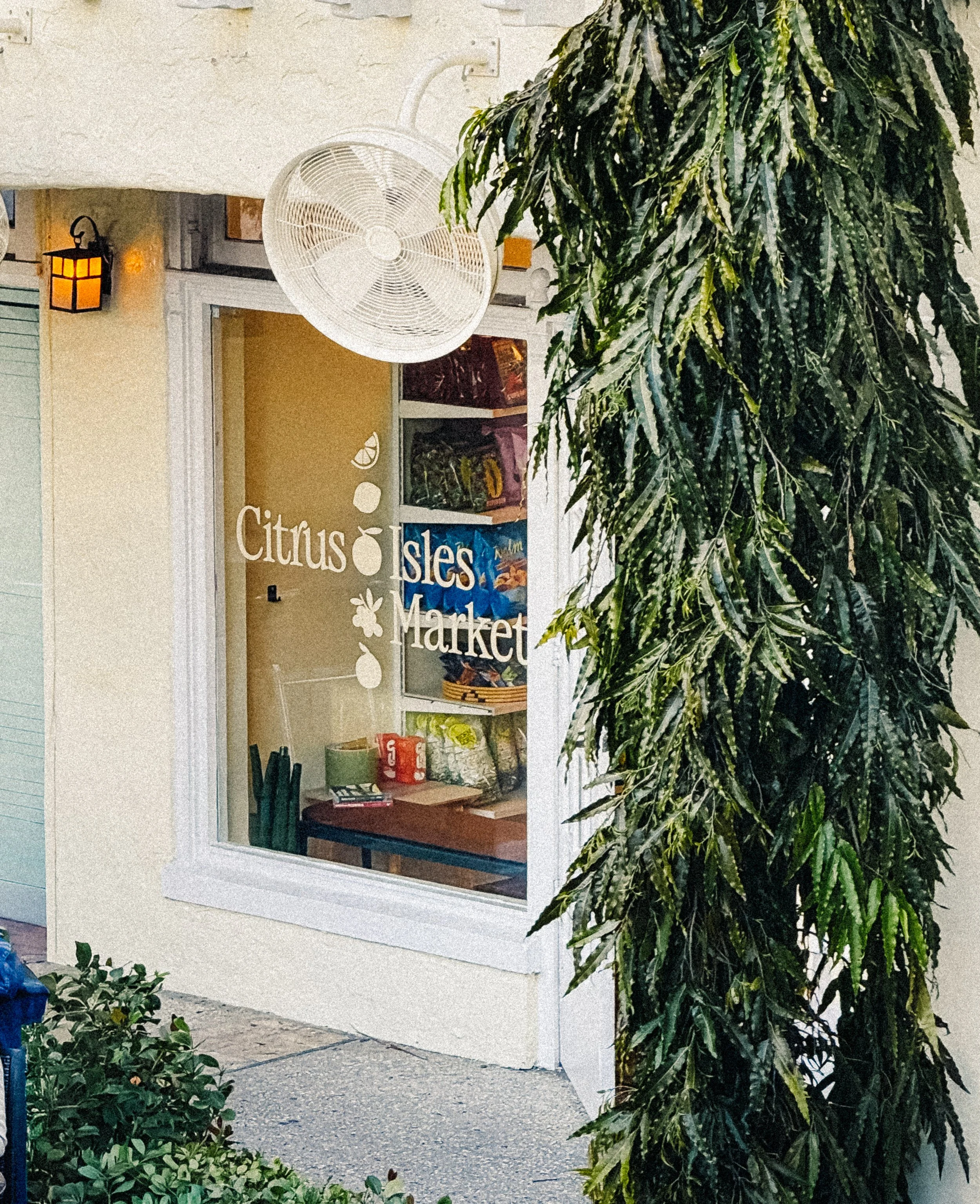View of a storefront window with sign 'Citrus Isles Market,' surrounded by greenery and a large tree, with a fan and small wall lantern outside.