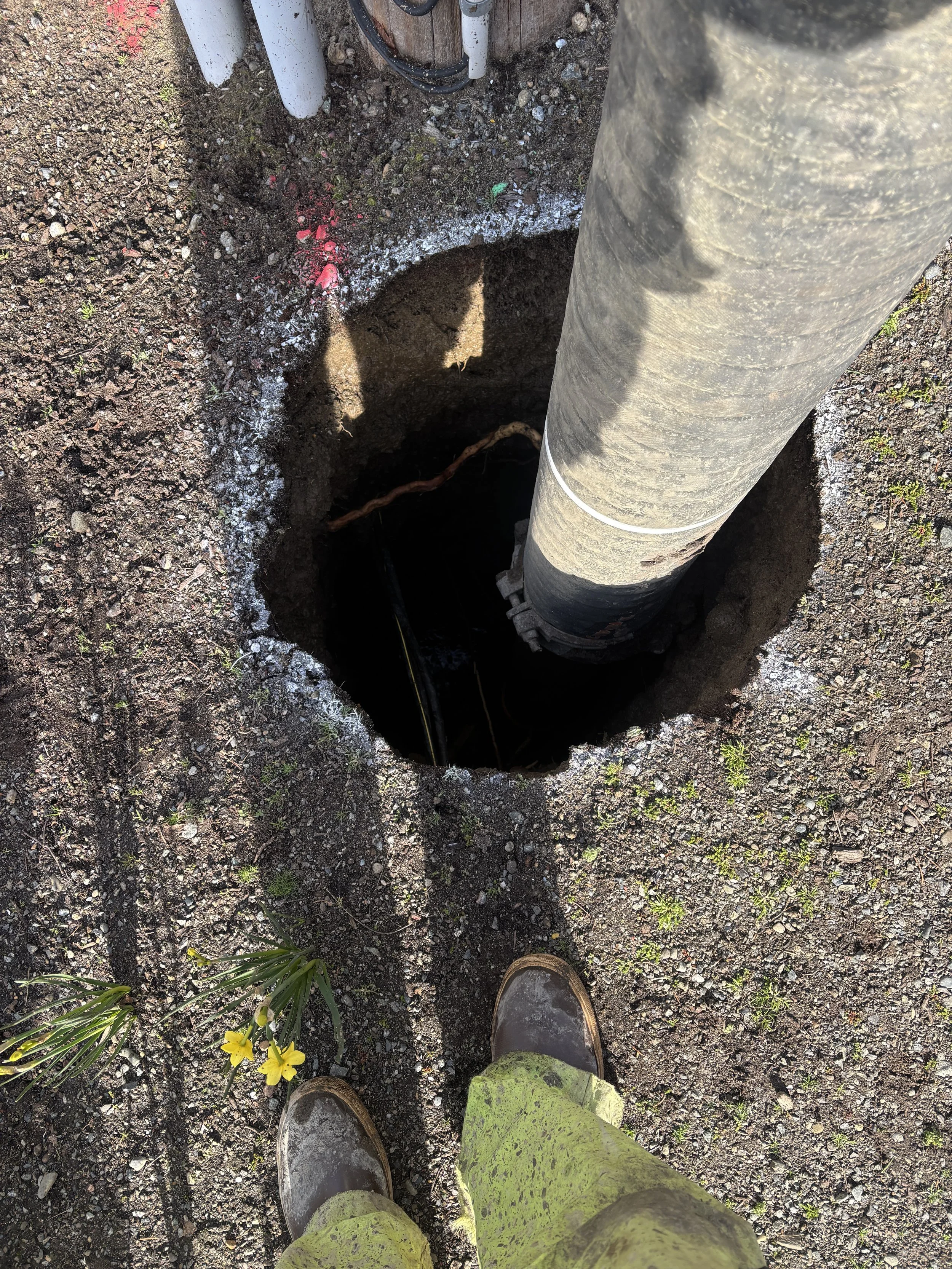 A person's legs wearing bright yellow pants and muddy boots standing on dirt and gravel near an open hole next to a large industrial pipe and some plants with yellow flowers.