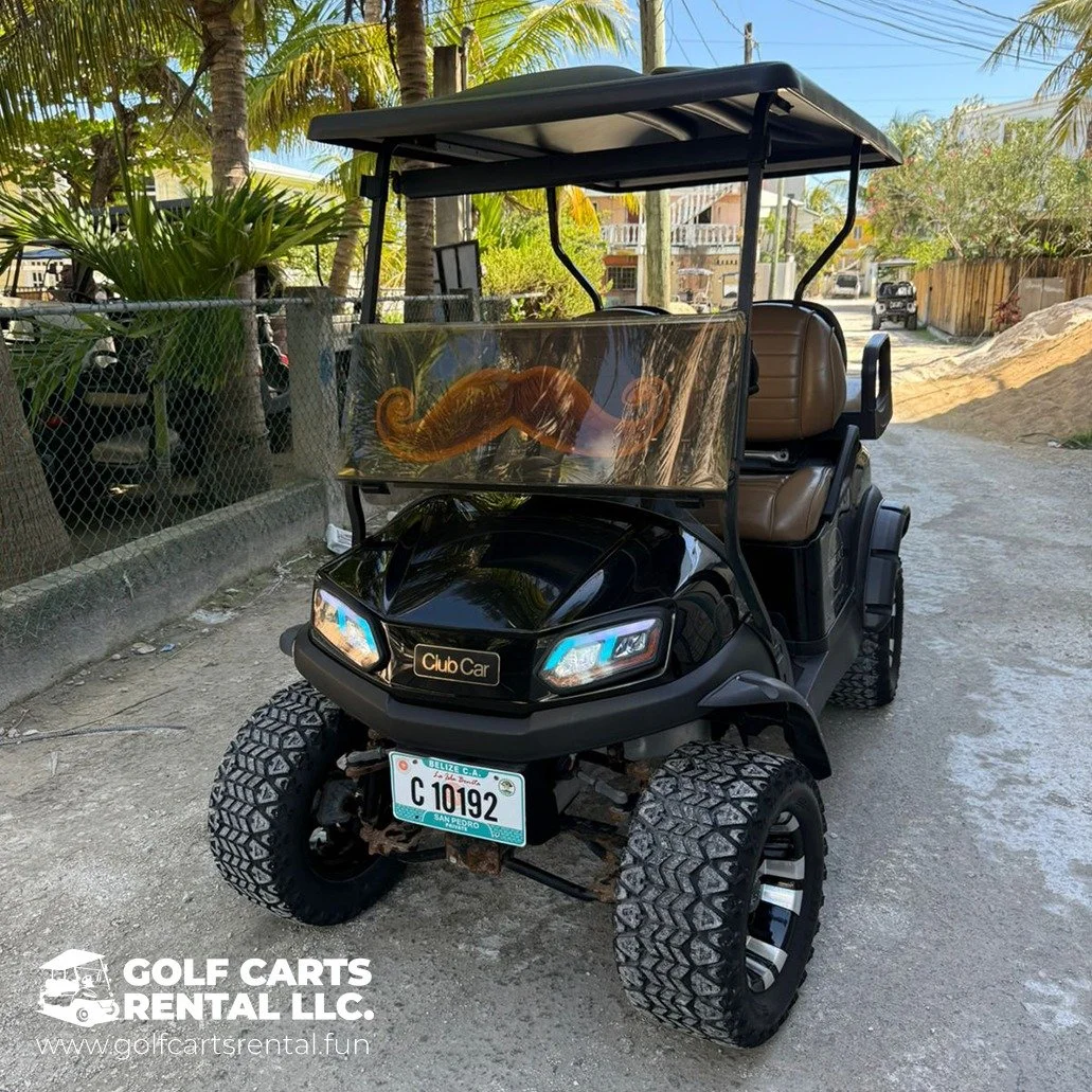 Black golf cart with a palm tree design on the front windshield, parked outdoors on a dirt lot, with residents' homes and tropical plants in the background.