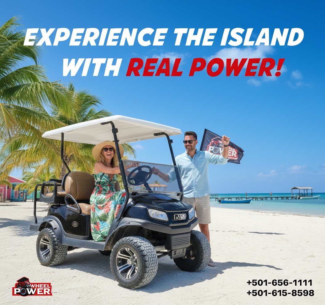 A man and woman on a beach with palm trees, standing next to a golf cart. The woman is sitting in the golf cart wearing a sun hat and a floral dress. The man is standing, holding a flag that says 'Power,' and is wearing sunglasses and a light blue shirt. The background features the ocean, a pier, and a blue sky.