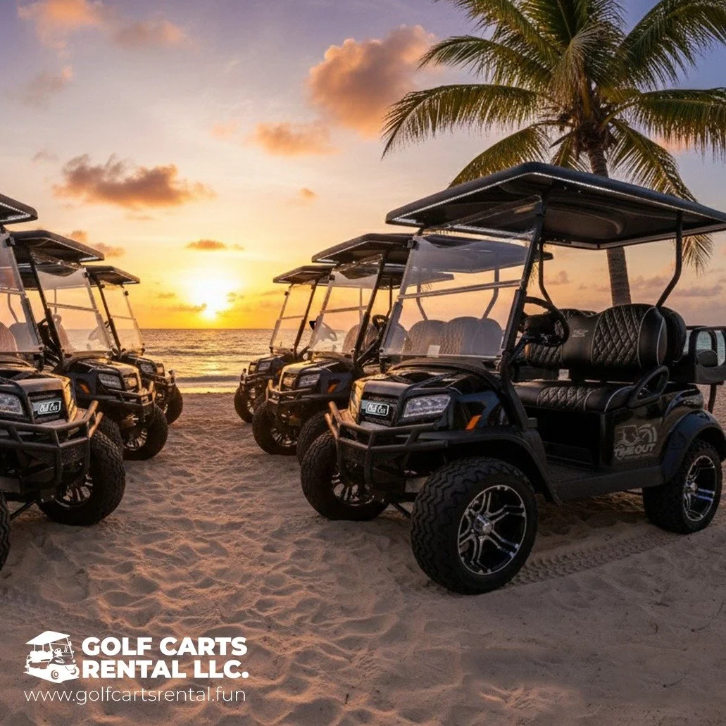 Six black golf carts parked on sandy beach near ocean at sunset with palm tree in background.