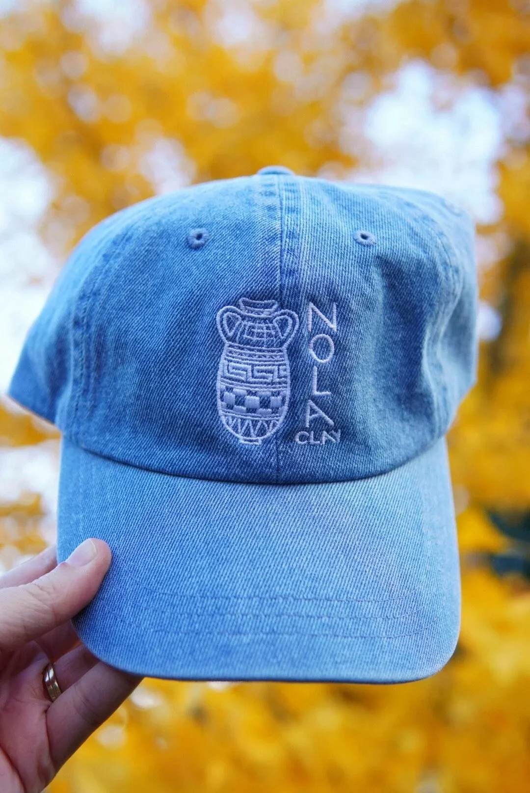 Denim Nola Clay Dad Hat