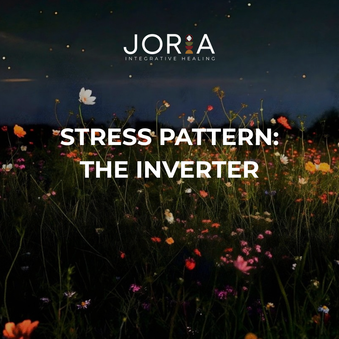 The Inverter Guide