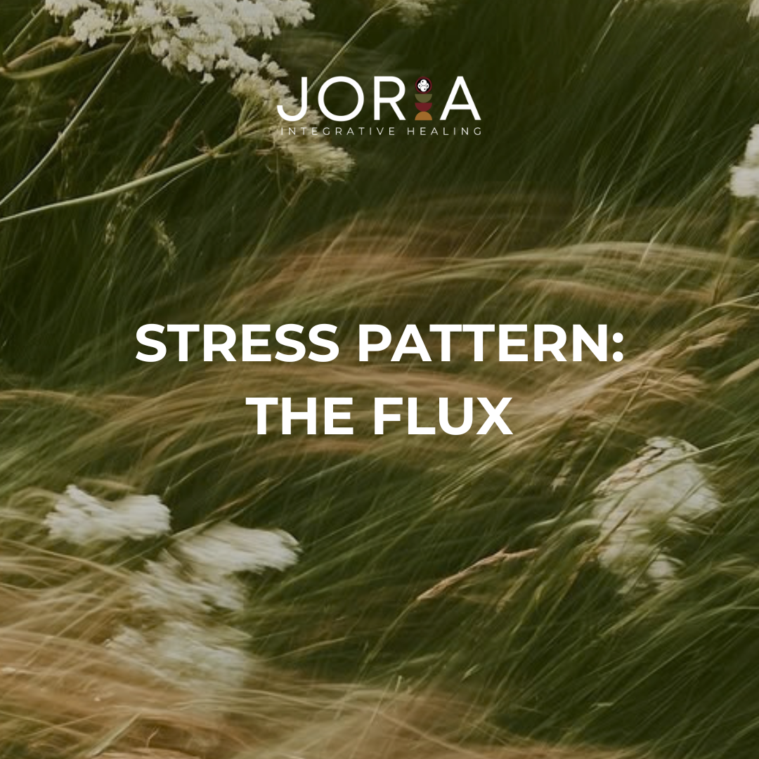 The Flux Guide