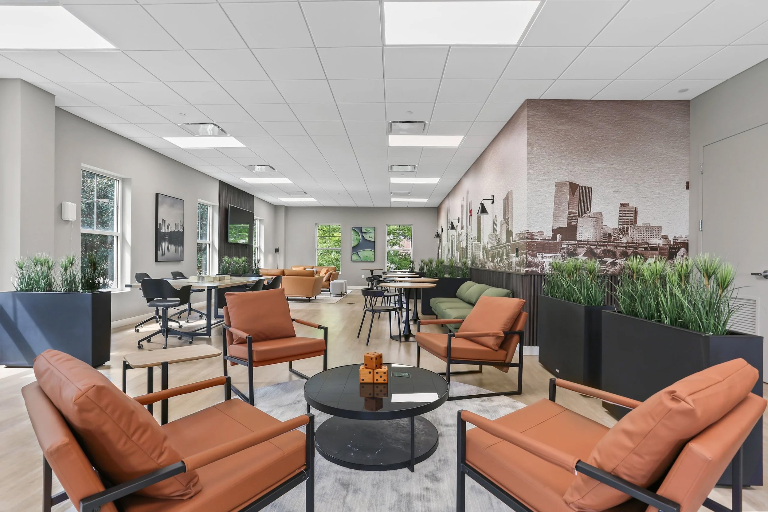 Community Area.jpg